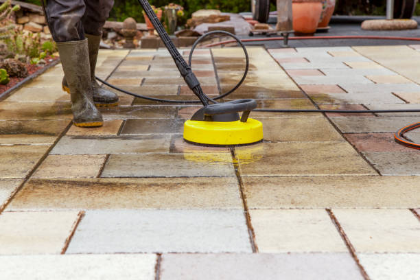 Best Roof Washing  in French Valley, CA